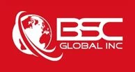 BSC GLOBAL INC logo